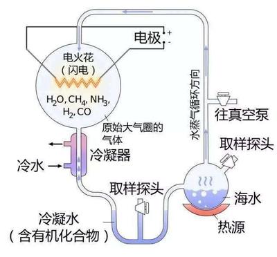 一口气搞懂生命的起源 从混沌气体到生命摇篮